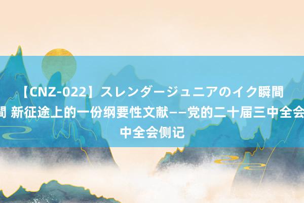 【CNZ-022】スレンダージュニアのイク瞬間 4時間 新征途上的一份纲要性文献——党的二十届三中全会侧记