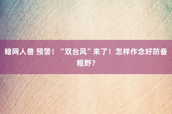 暗网人兽 预警！“双台风”来了！怎样作念好防备粗野？