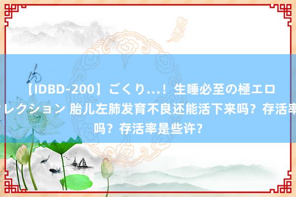 【IDBD-200】ごくり…！生唾必至の極エロボディセレクション 胎儿左肺发育不良还能活下来吗？存活率是些许？