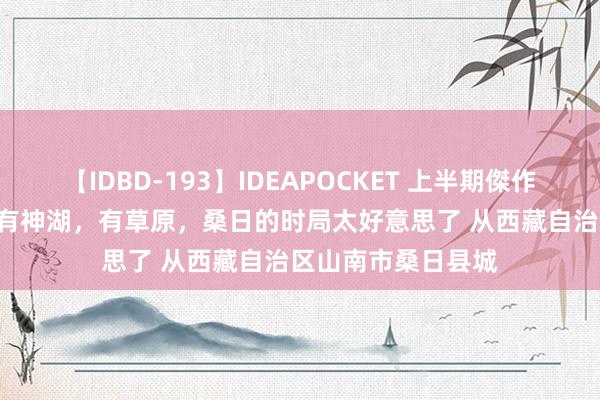 【IDBD-193】IDEAPOCKET 上半期傑作集2009 有雪山，有神湖，有草原，桑日的时局太好意思了 从西藏自治区山南市桑日县城