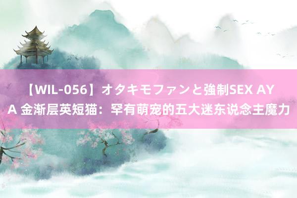 【WIL-056】オタキモファンと強制SEX AYA 金渐层英短猫：罕有萌宠的五大迷东说念主魔力