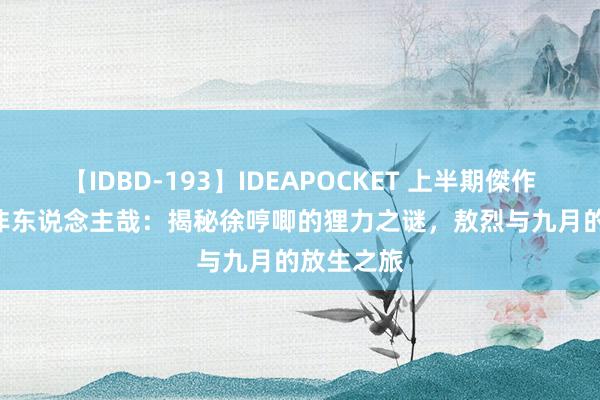 【IDBD-193】IDEAPOCKET 上半期傑作集2009 非东说念主哉：揭秘徐哼唧的狸力之谜，敖烈与九月的放生之旅