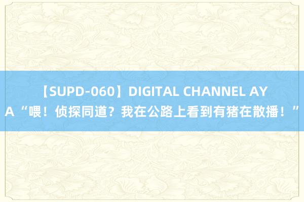 【SUPD-060】DIGITAL CHANNEL AYA “喂！侦探同道？我在公路上看到有猪在散播！”