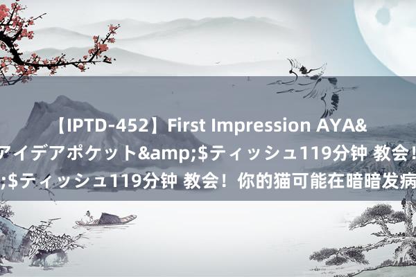 【IPTD-452】First Impression AYA</a>2009-05-01アイデアポケット&$ティッシュ119分钟 教会！你的猫可能在暗暗发病