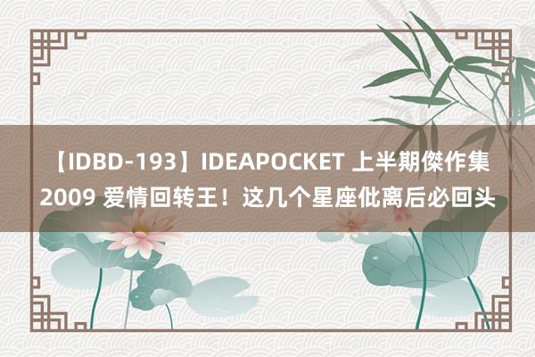 【IDBD-193】IDEAPOCKET 上半期傑作集2009 爱情回转王！这几个星座仳离后必回头