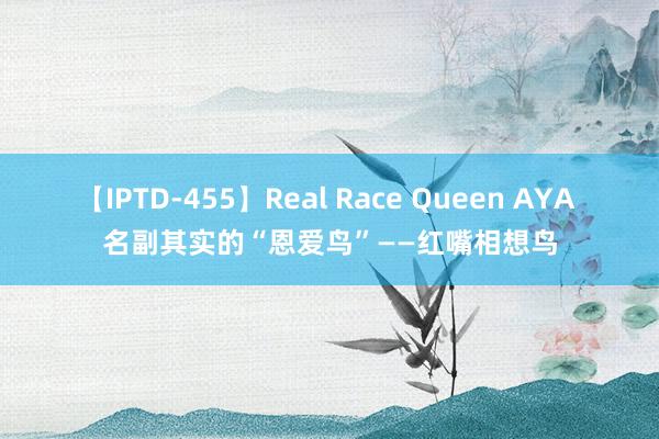 【IPTD-455】Real Race Queen AYA 名副其实的“恩爱鸟”——红嘴相想鸟