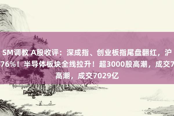 SM调教 A股收评：深成指、创业板指尾盘翻红，沪指跌0.76%！半导体板块全线拉升！超3000股高潮，成交7029亿