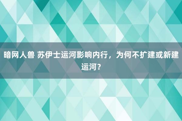 暗网人兽 苏伊士运河影响内行，为何不扩建或新建运河？