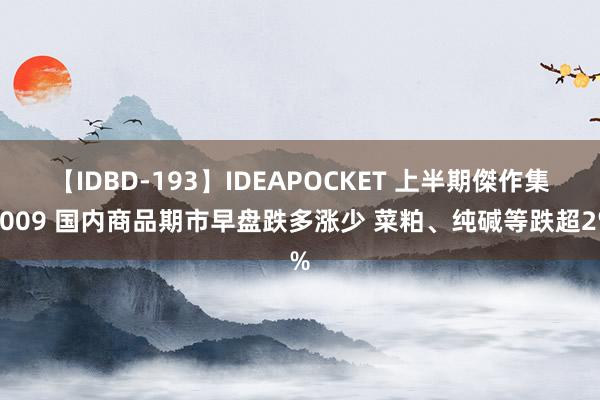 【IDBD-193】IDEAPOCKET 上半期傑作集2009 国内商品期市早盘跌多涨少 菜粕、纯碱等跌超2%