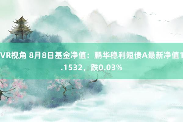 VR视角 8月8日基金净值：鹏华稳利短债A最新净值1.1532，跌0.03%