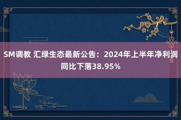 SM调教 汇绿生态最新公告：2024年上半年净利润同比下落38.95%