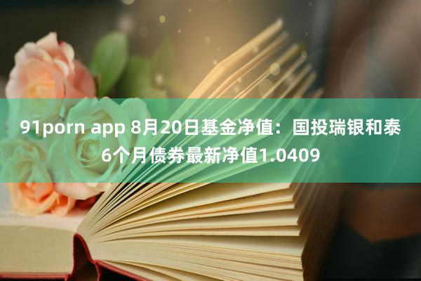 91porn app 8月20日基金净值：国投瑞银和泰6个月债券最新净值1.0409