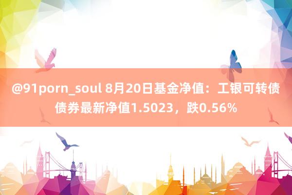 @91porn_soul 8月20日基金净值：工银可转债债券最新净值1.5023，跌0.56%