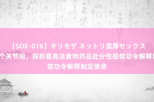 【SOE-016】ギリモザ ネットリ濃厚セックス Ami 三个关节词，探析最高法食物药品处分性抵偿功令解释制定使命