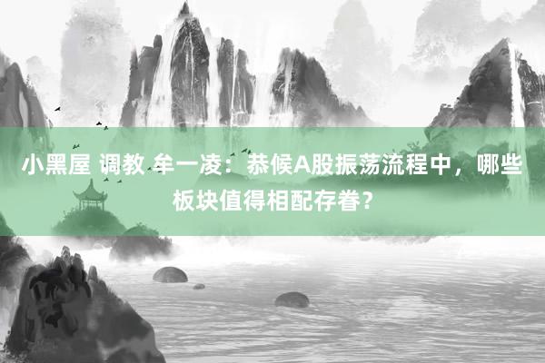 小黑屋 调教 牟一凌：恭候A股振荡流程中，哪些板块值得相配存眷？