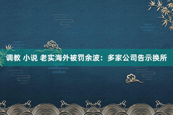 调教 小说 老实海外被罚余波：多家公司告示换所