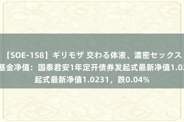 【SOE-158】ギリモザ 交わる体液、濃密セックス Ami 8月26日基金净值：国泰君安1年定开债券发起式最新净值1.0231，跌0.04%