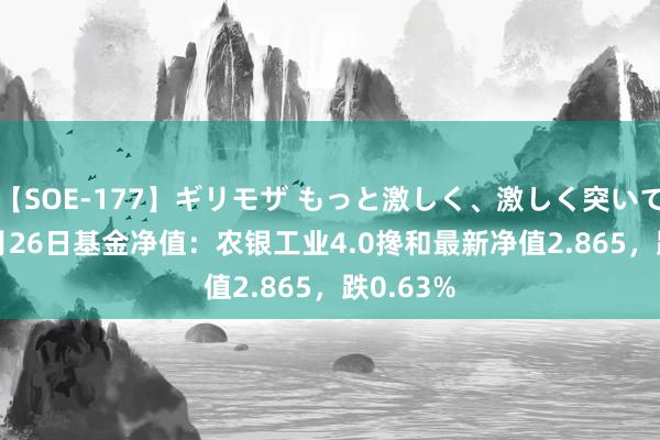 【SOE-177】ギリモザ もっと激しく、激しく突いて Ami 8月26日基金净值：农银工业4.0搀和最新净值2.865，跌0.63%