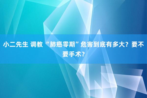 小二先生 调教 “肺癌零期”危害到底有多大？要不要手术？