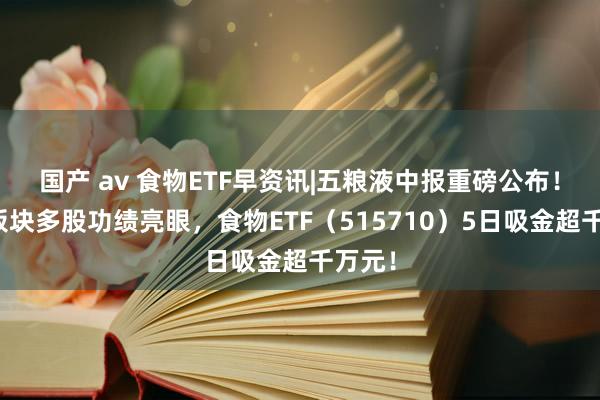 国产 av 食物ETF早资讯|五粮液中报重磅公布！吃喝板块多股功绩亮眼，食物ETF（515710）5日吸金超千万元！