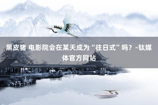 黑皮猪 电影院会在某天成为“往日式”吗？-钛媒体官方网站