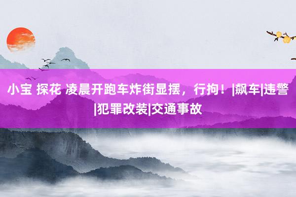 小宝 探花 凌晨开跑车炸街显摆，行拘！|飙车|违警|犯罪改装|交通事故