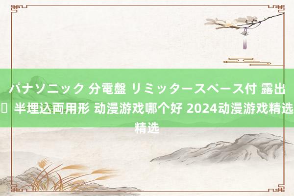 パナソニック 分電盤 リミッタースペース付 露出・半埋込両用形 动漫游戏哪个好 2024动漫游戏精选