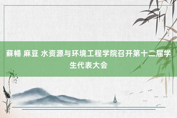 蘇暢 麻豆 水资源与环境工程学院召开第十二届学生代表大会