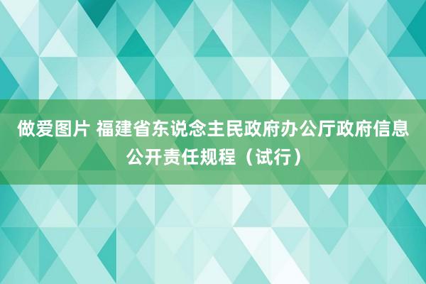 做爱图片 福建省东说念主民政府办公厅政府信息公开责任规程（试行）