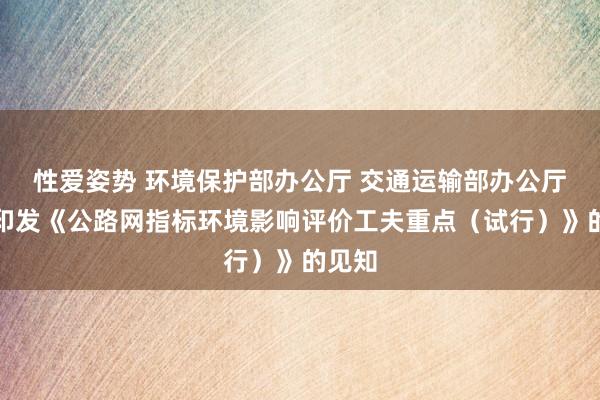 性爱姿势 环境保护部办公厅 交通运输部办公厅对于印发《公路网指标环境影响评价工夫重点（试行）》的见知