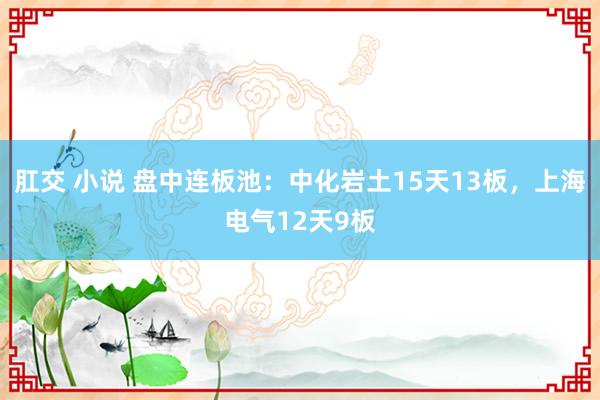 肛交 小说 盘中连板池：中化岩土15天13板，上海电气12天9板